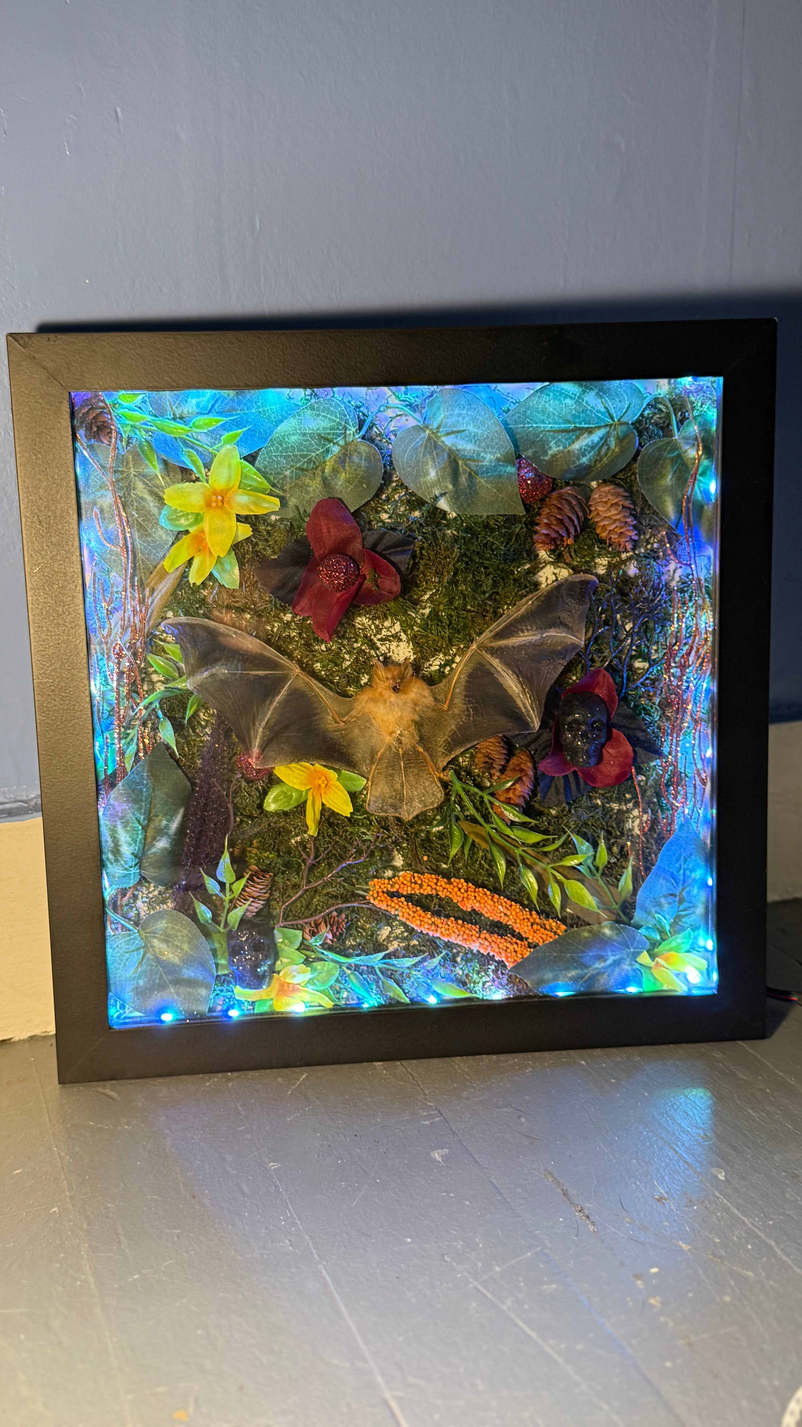 Real bat LED shadow box