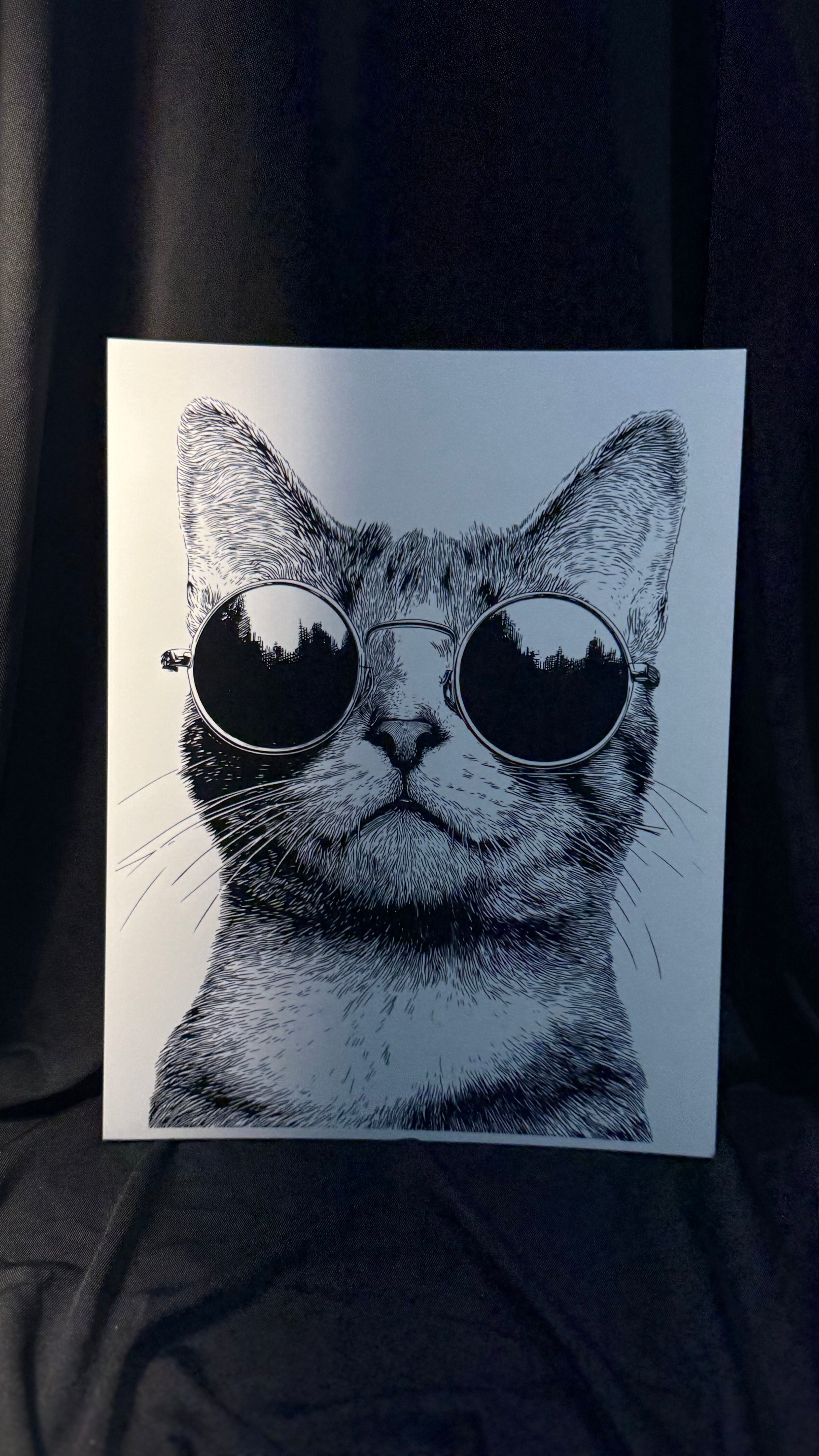 Kool Kat print