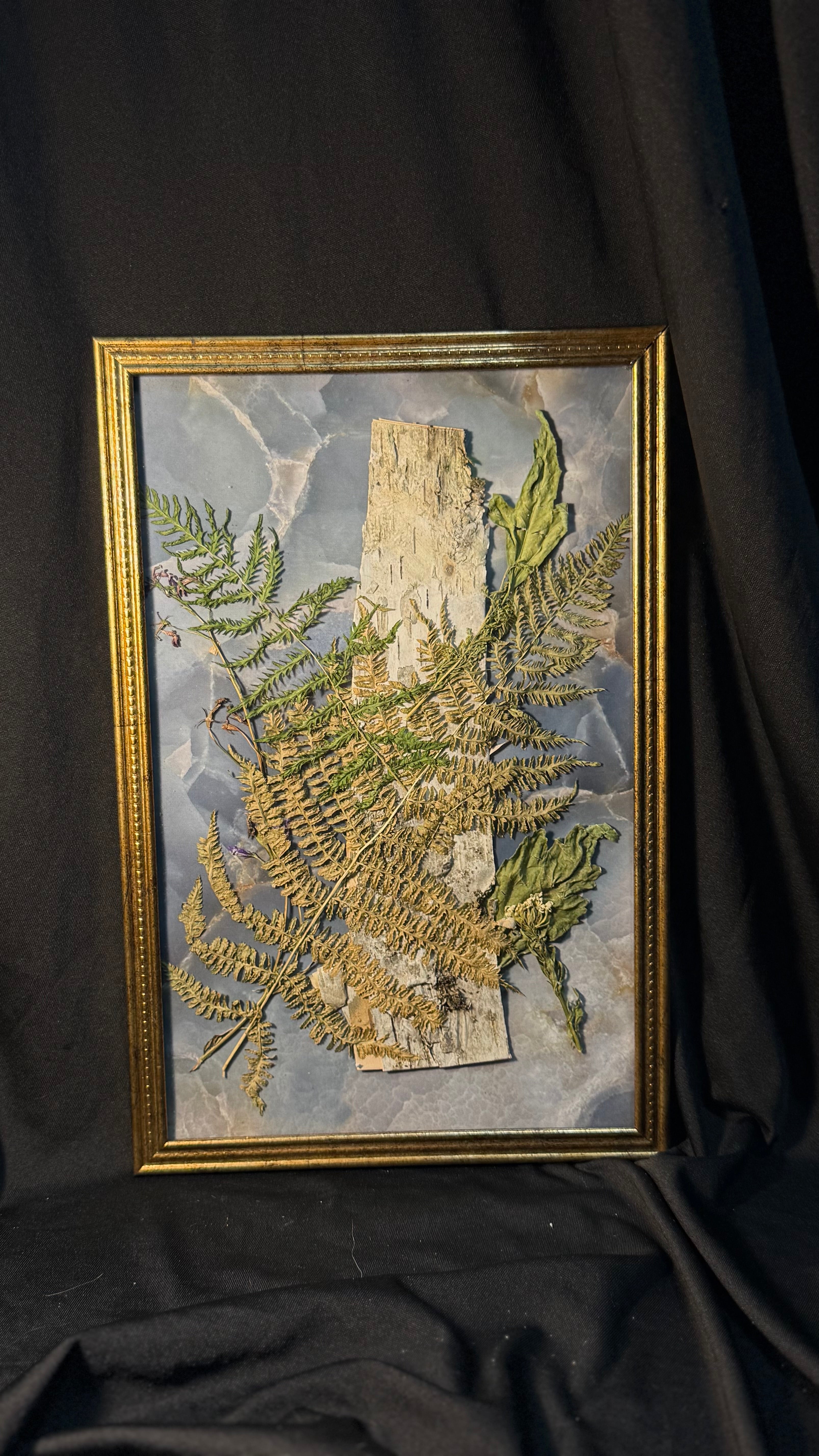 Pressed birch bark and ferns