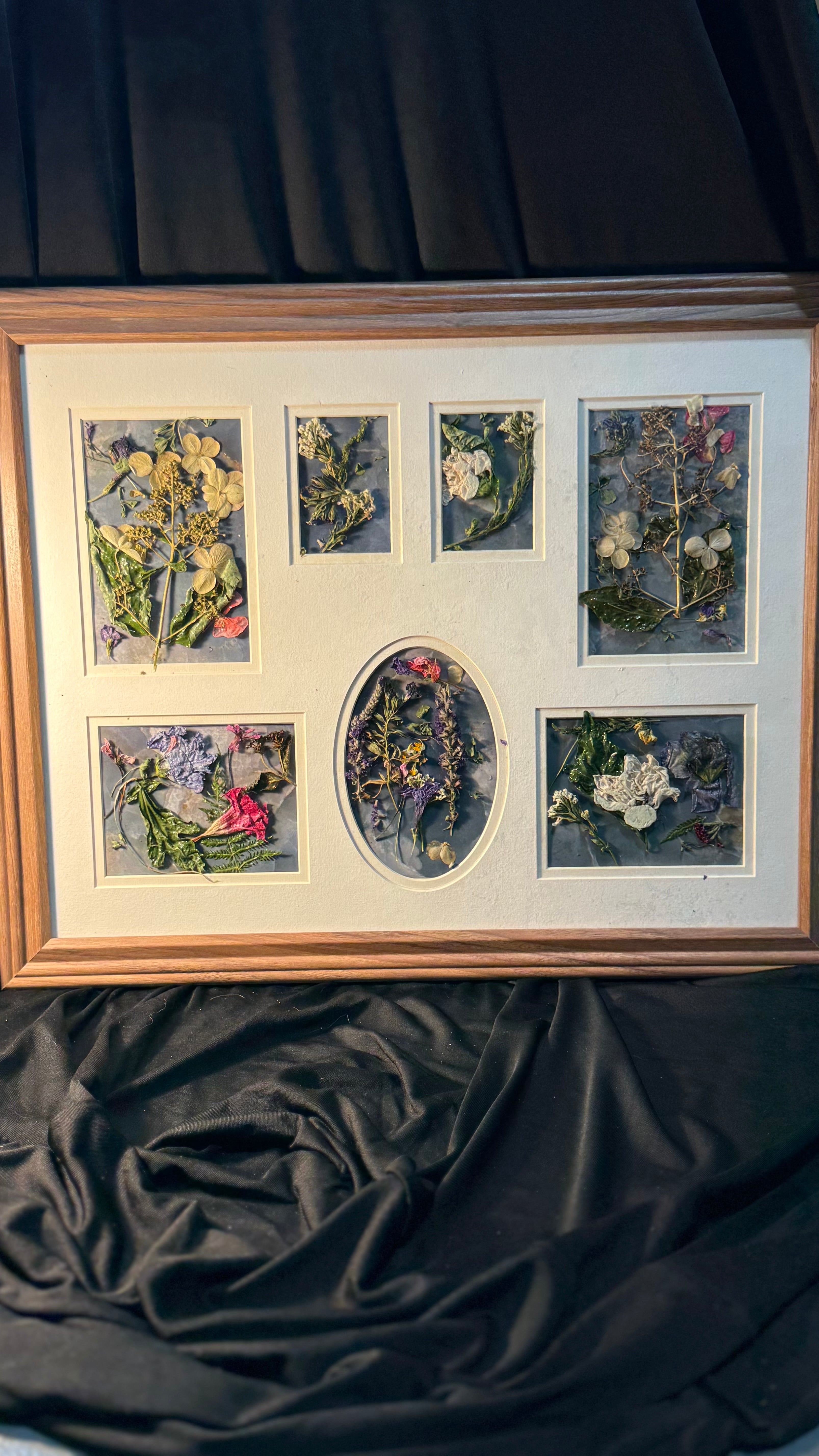 Pressed flower, vintage frame