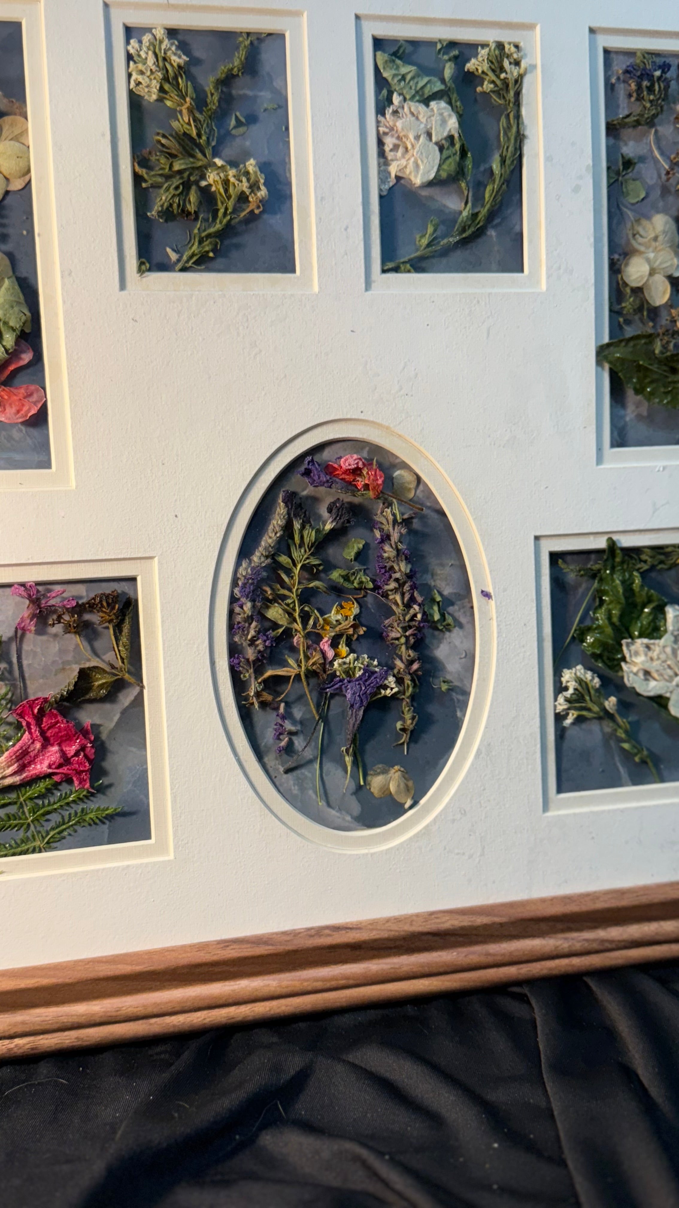 Pressed flower, vintage frame