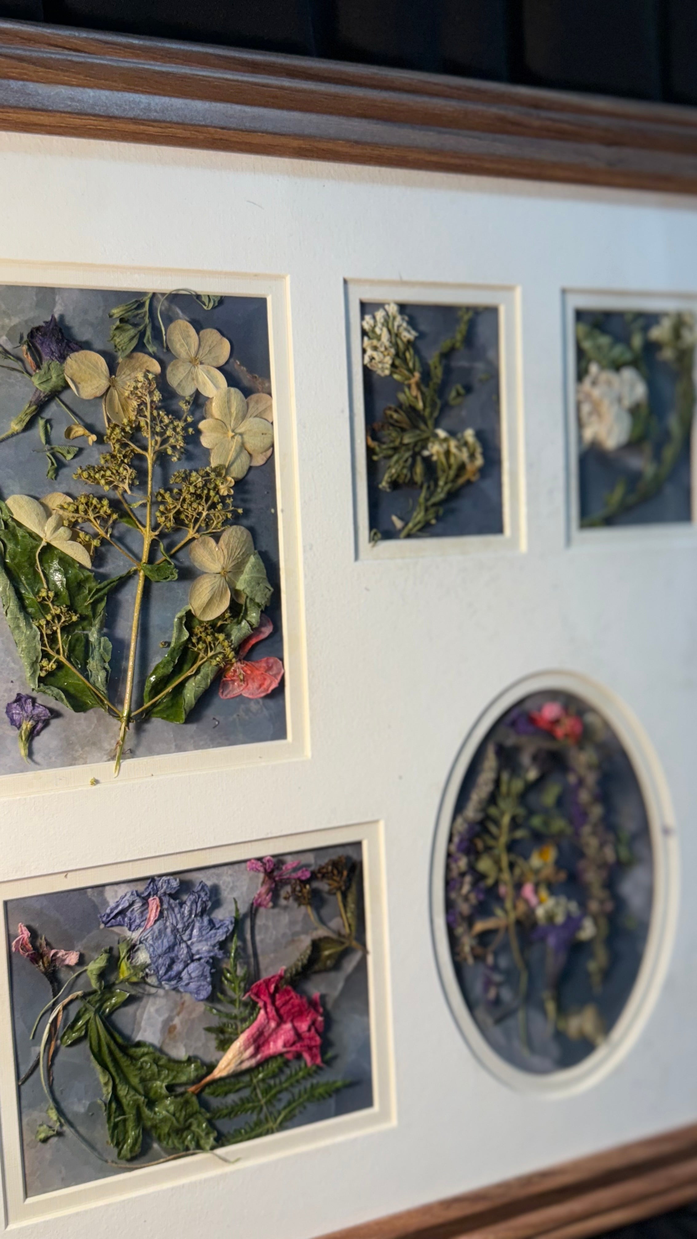 Pressed flower, vintage frame