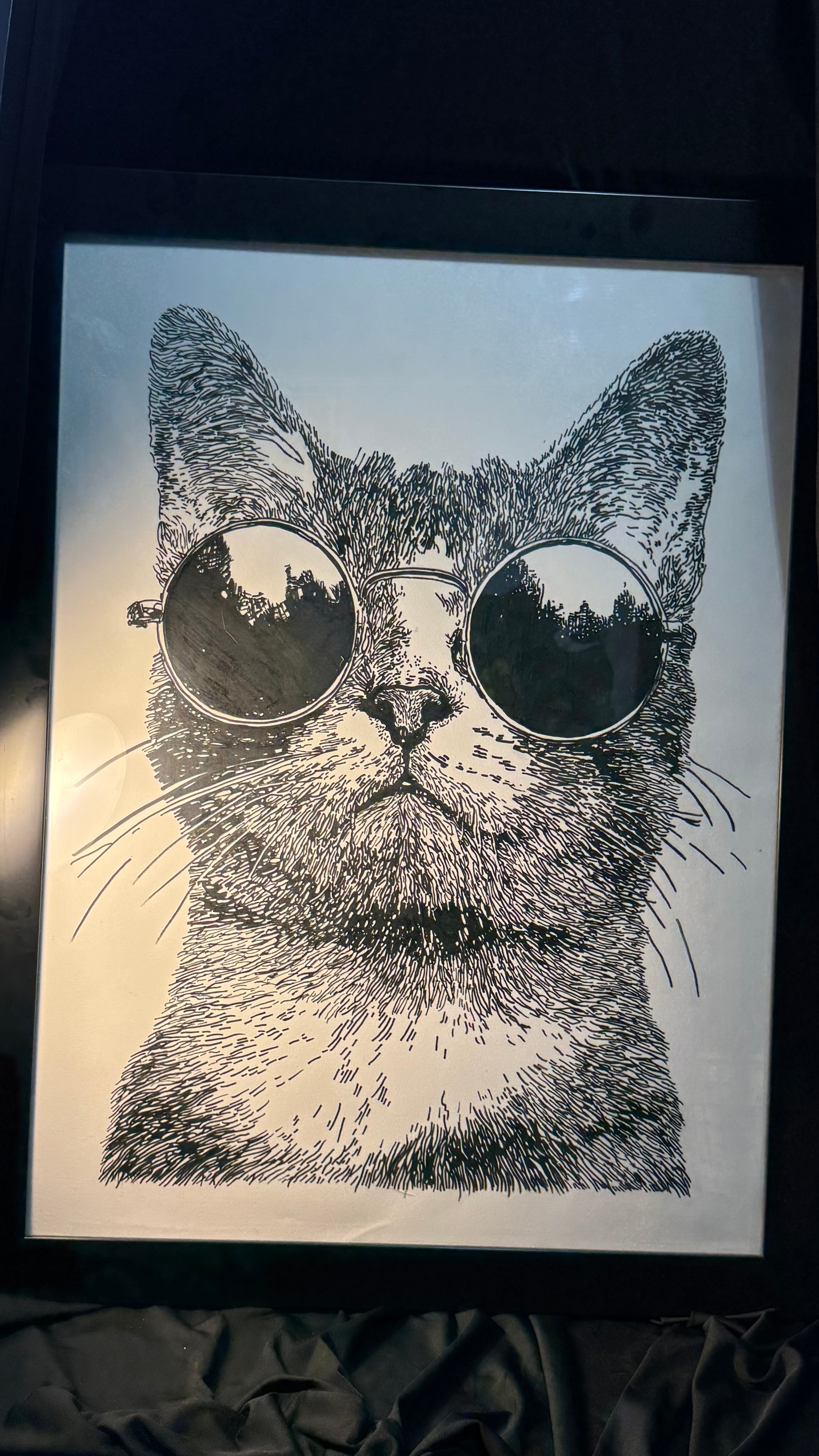 Big kool kat framed