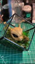 Psychic #0150 Skull Terrarium. MADE TO ORDER