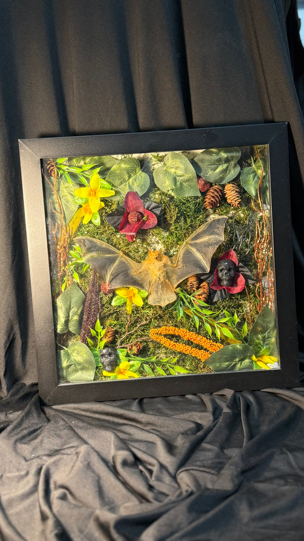 Real bat LED shadow box