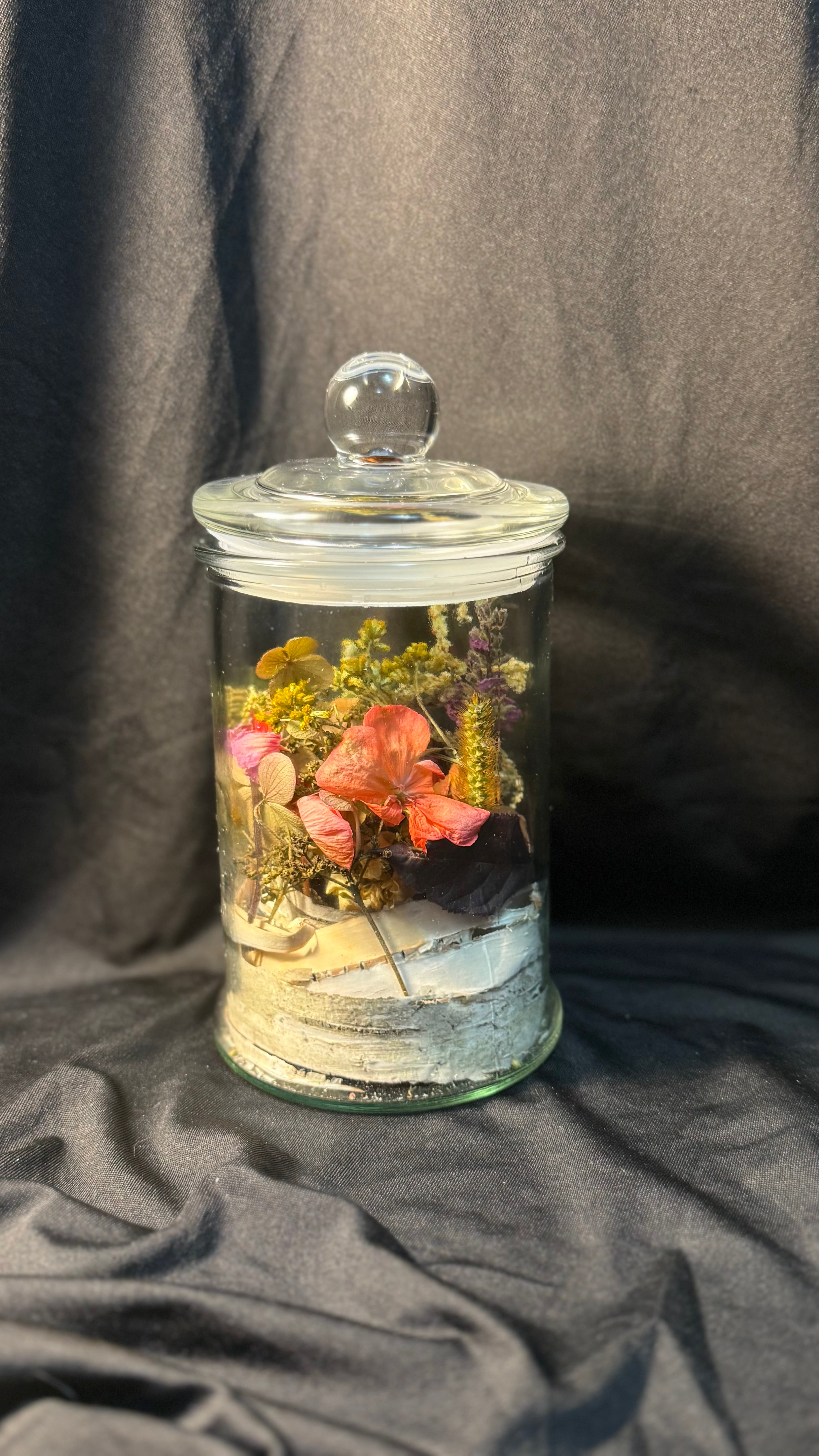 Dried flower and birch bark terrarium
