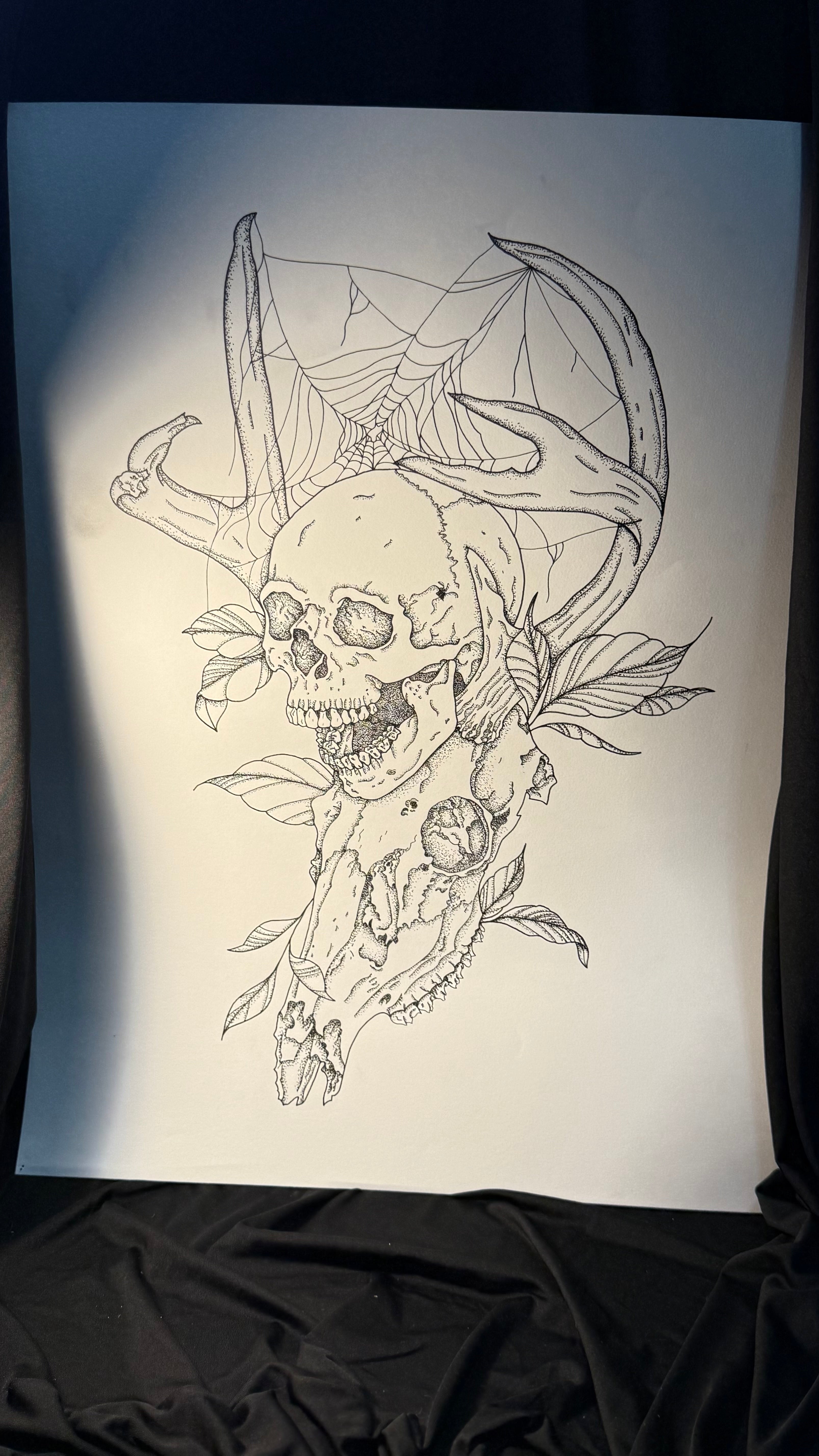 2 skulls